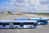 Standard Linien Bus